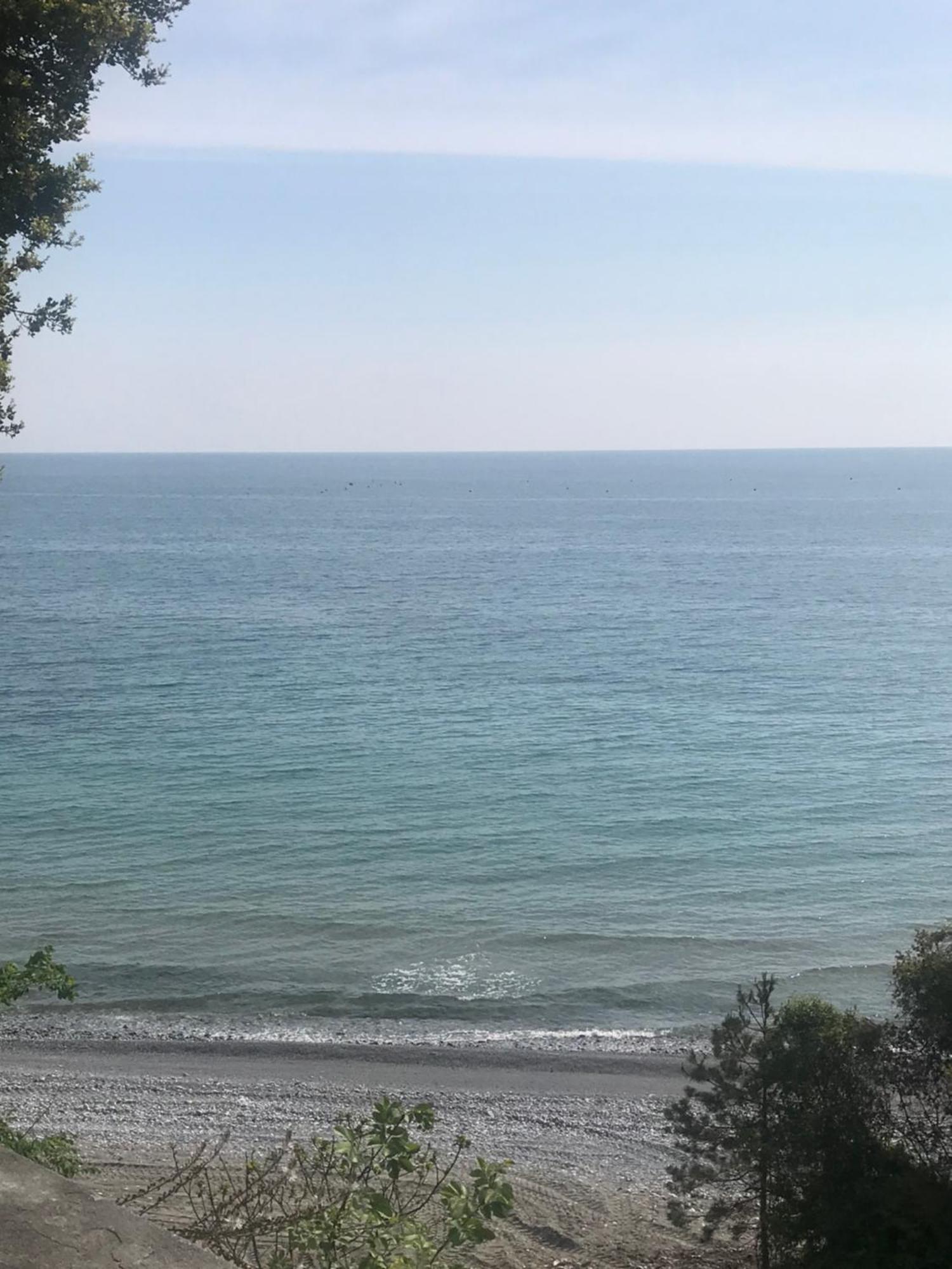Zeusplace Seaside Home Private Beach And Parking Плака-Литохоро Экстерьер фото
