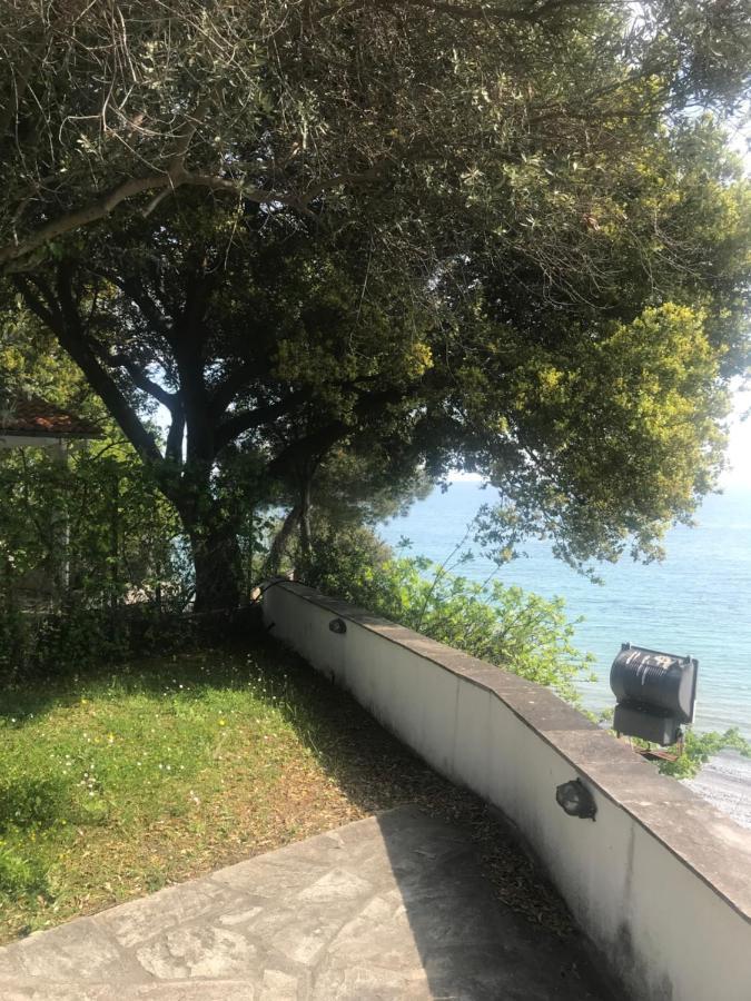 Zeusplace Seaside Home Private Beach And Parking Плака-Литохоро Экстерьер фото