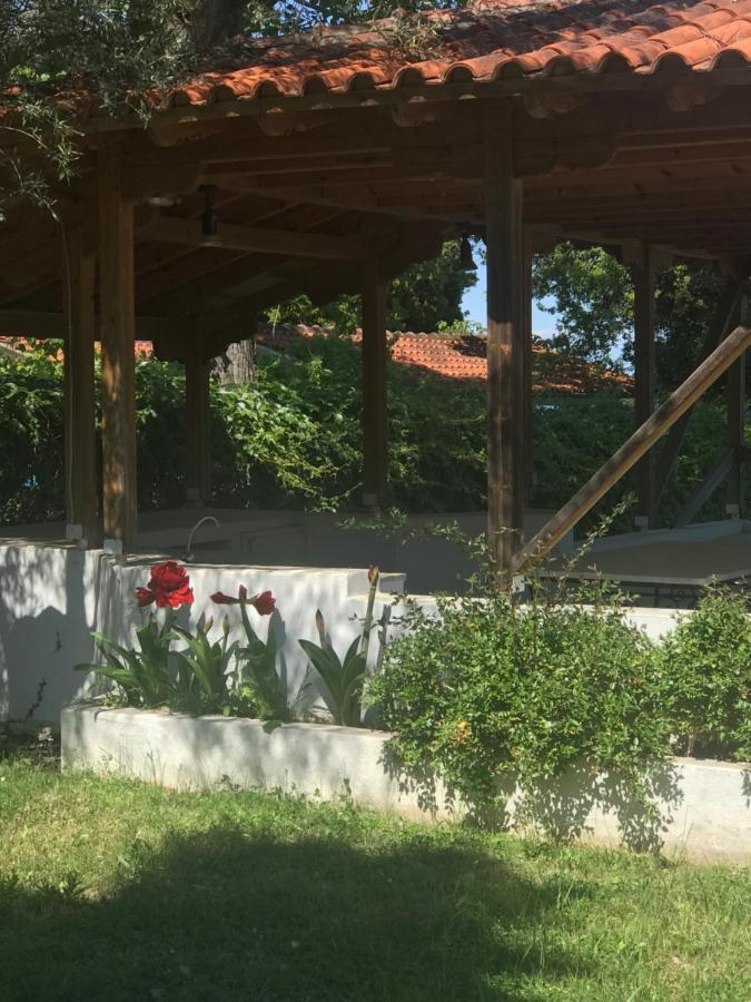 Zeusplace Seaside Home Private Beach And Parking Плака-Литохоро Экстерьер фото